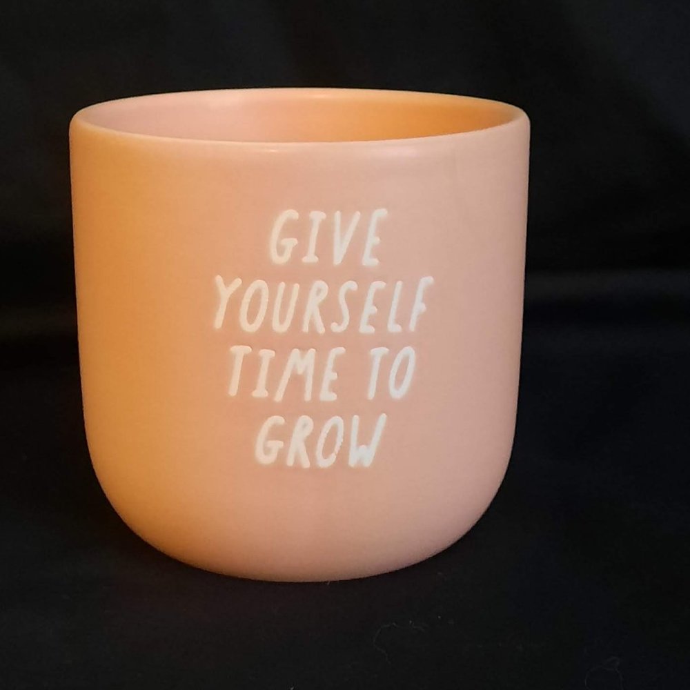 Pink ceramic plant pot